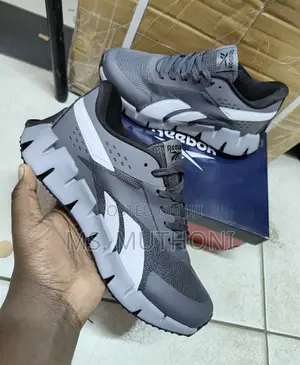 The Reebok Zig Dynamica 2.0 Size 40-450