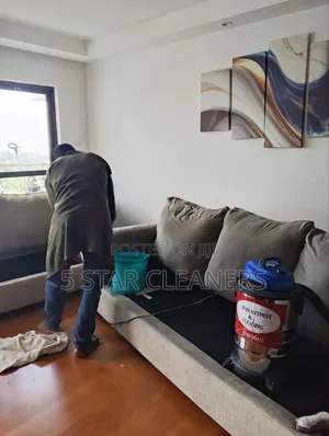 Sofaset Sanitising, Cleaning Deodorizing