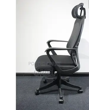 Office Chair : Mesh Back Executive Office Chair Ergonomic Design