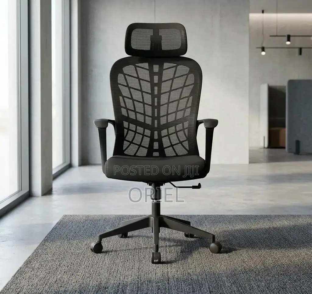 Office Chair : Mesh Back Executive Office Chair Ergonomic Design
