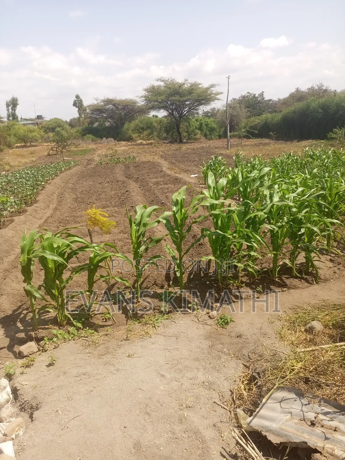 Plots for Sale