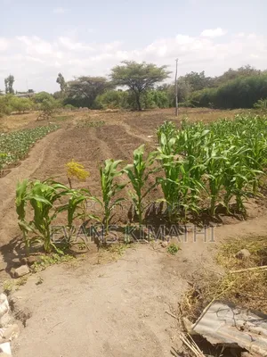 Plots for Sale