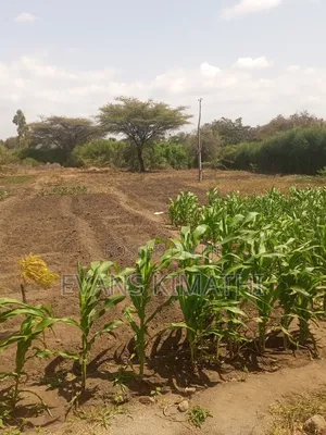 Plots for Sale