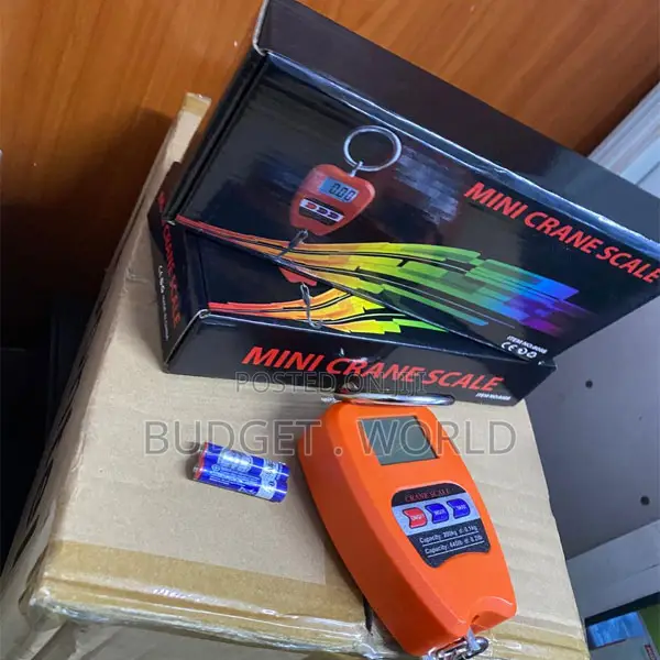 Professional 200kg Digital Crane Weight Scale With LCD Display