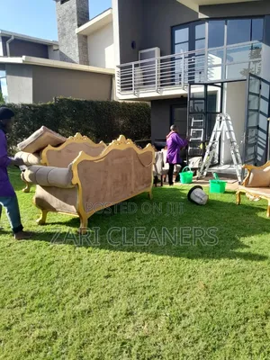 Interior Sofaset Cleaning Solution