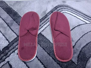 Reusable Indoor Sandals*