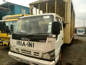 Isuzu NQR Truck