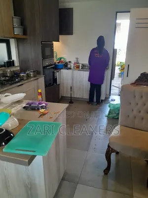 Kitchen Pantry Cleaning Solution