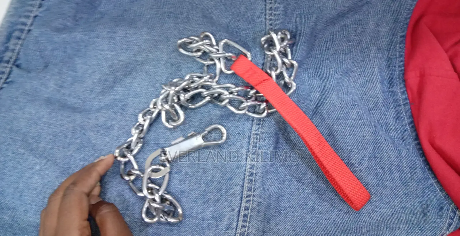 Chain Dog Leash
