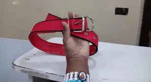 Medium Dogs Heavy Duty Collar