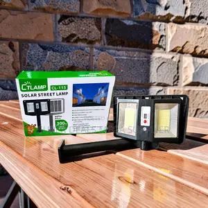 Ctlamp 300w Built in Motion Sensor Reliable Quality Solar Street Light