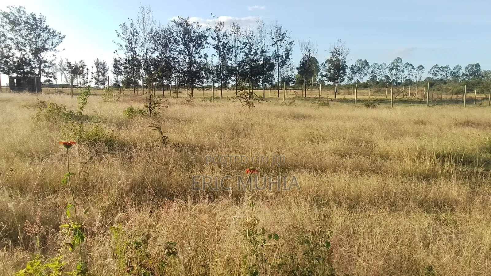 Kabati Leisure Gardens Phase 2