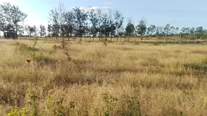 Kabati Leisure Gardens Phase 2