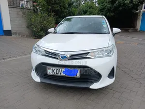 Toyota Corolla Fielder 2019 White