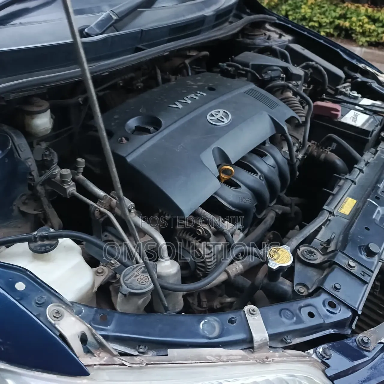 Toyota Axio 2010 Gray