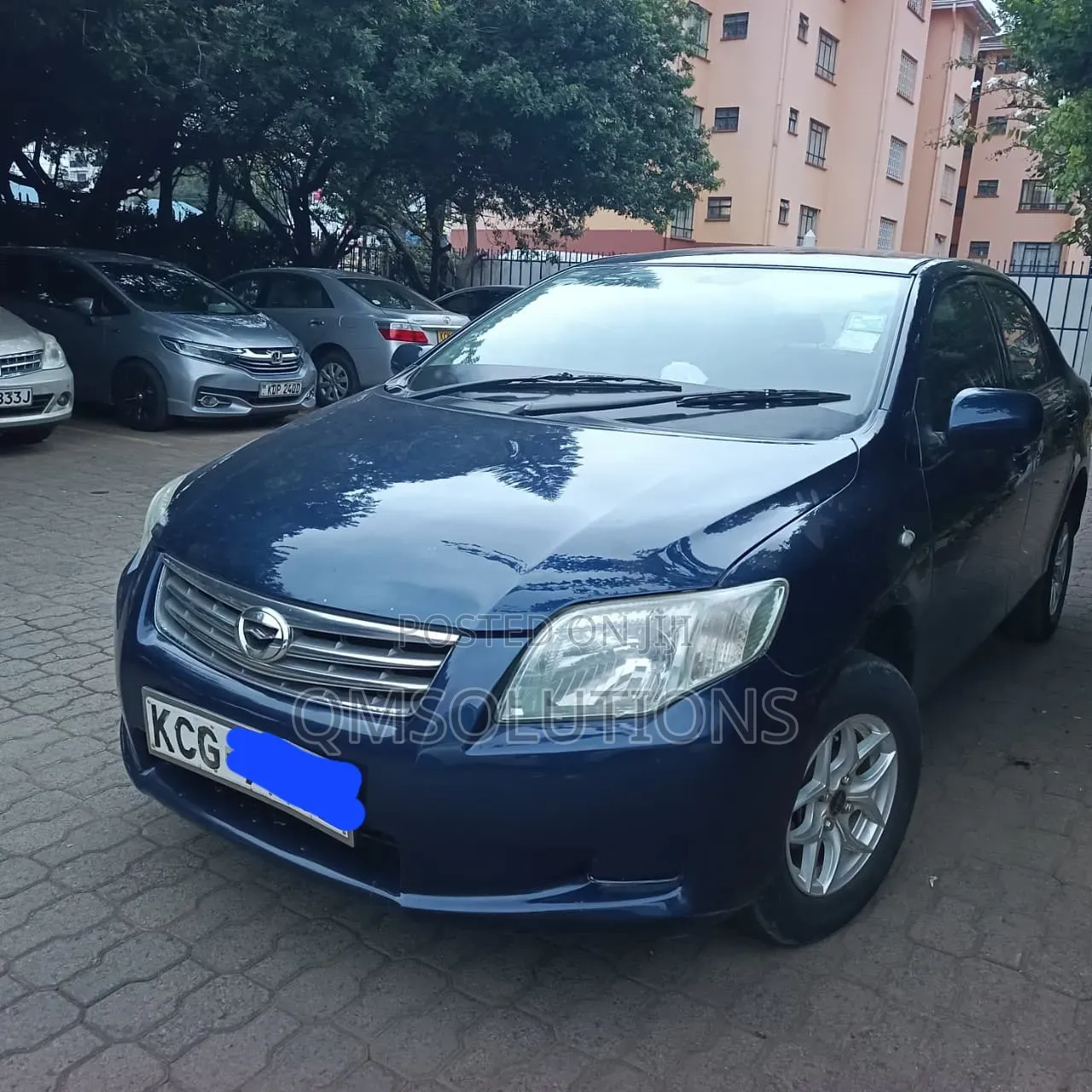 Toyota Axio 2010 Gray