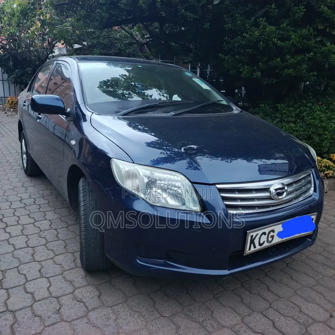 Toyota Axio 2010 Gray