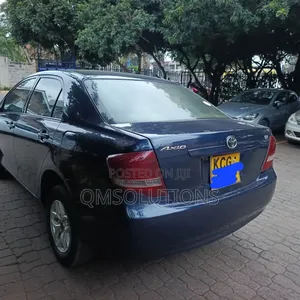 Toyota Axio 2010 Gray