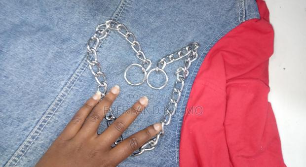 Choke Chain for Dogs