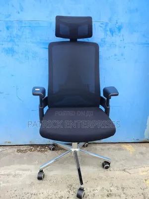 Imported Modern Ergonomic Orthopedic Office Chair
