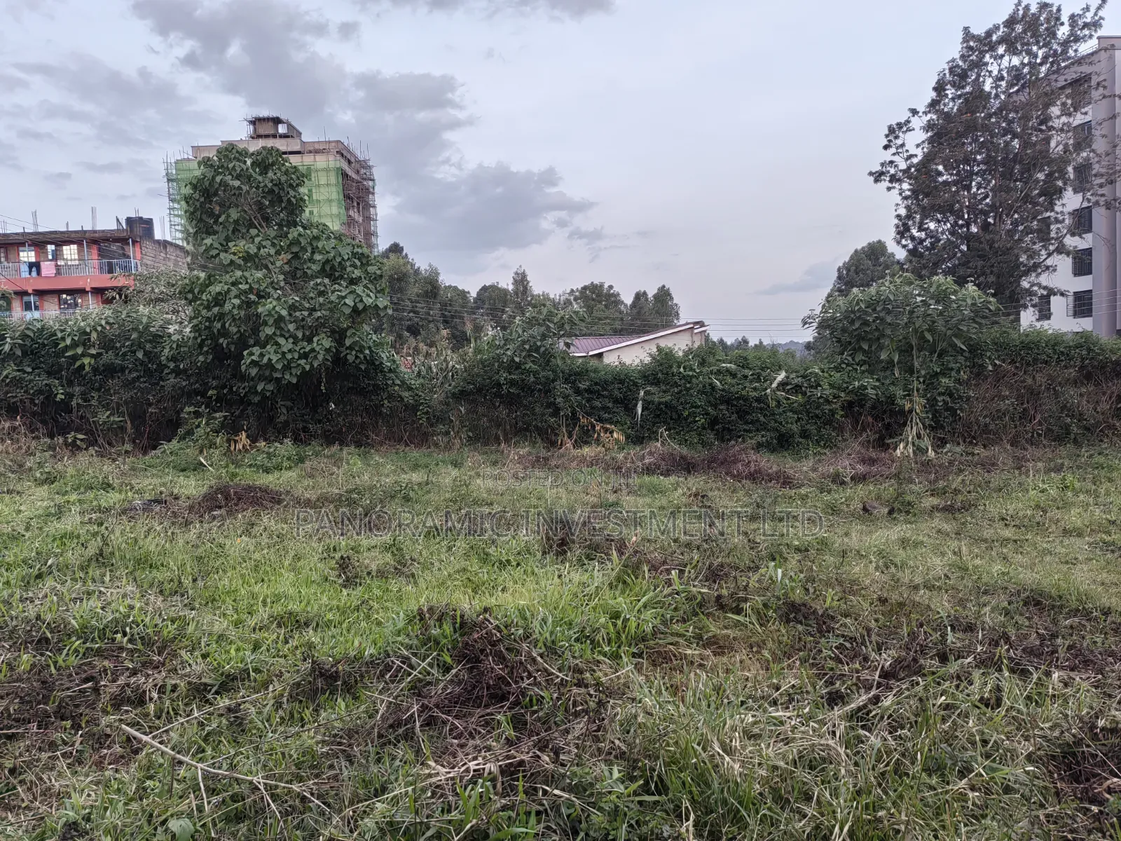 50x100 Plot for Sale in Lower Kabete Kiambu County.