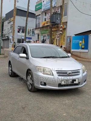 Toyota Axio 2007 Silver