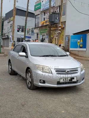 Toyota Axio 2007 Silver