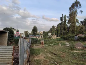 50x100 Plot for Sale in Lower Kabete Kiambu County.