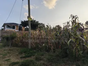 50x100 Plot for Sale in Lower Kabete Kiambu County.