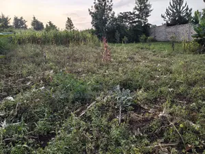 50x100 Plot for Sale in Lower Kabete Kiambu County.