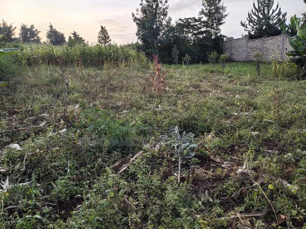 50x100 Plot for Sale in Lower Kabete Kiambu County. - thumbnail 4