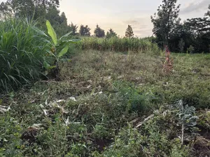 50x100 Plot for Sale in Lower Kabete Kiambu County.