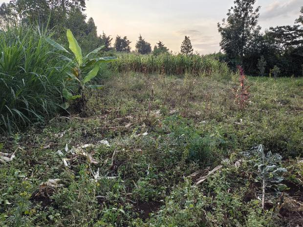 50x100 Plot for Sale in Lower Kabete Kiambu County. - thumbnail 5