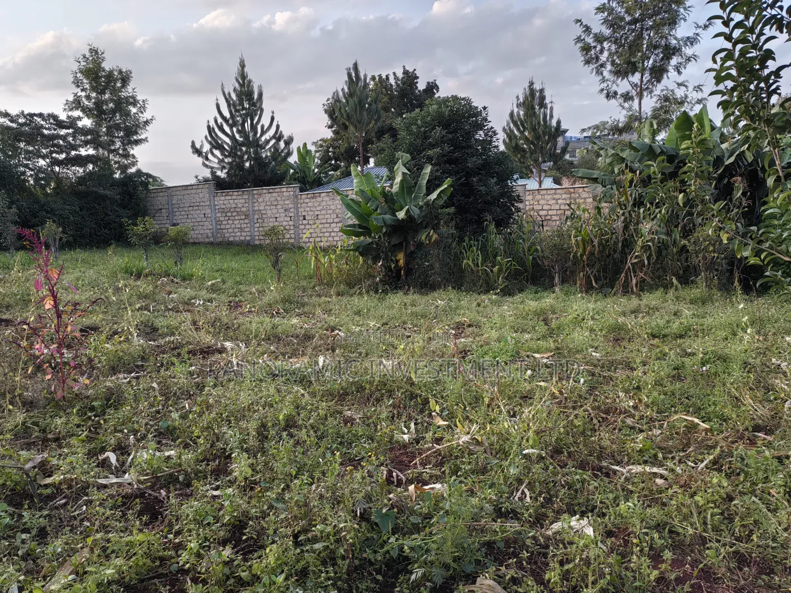 50x100 Plot for Sale in Lower Kabete Kiambu County.