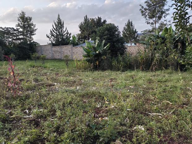 50x100 Plot for Sale in Lower Kabete Kiambu County. - thumbnail 6