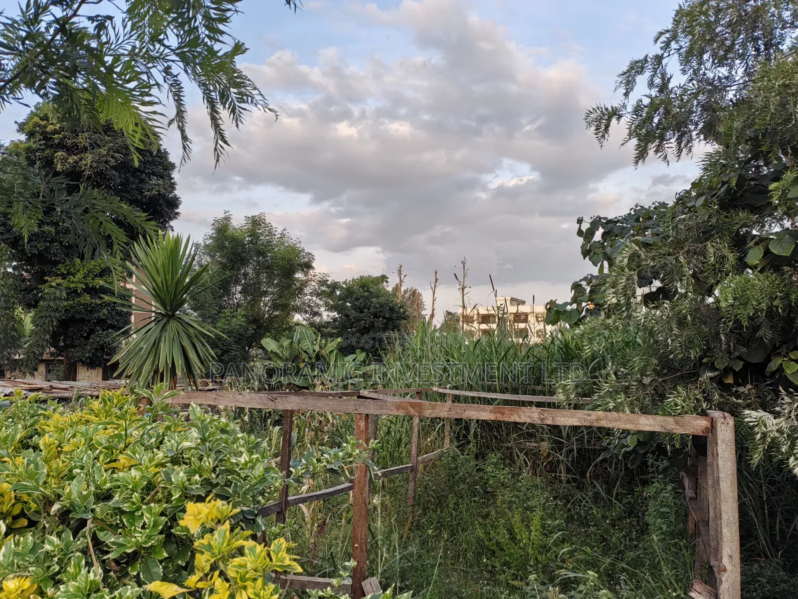 50x100 Plot for Sale in Lower Kabete Kiambu County.