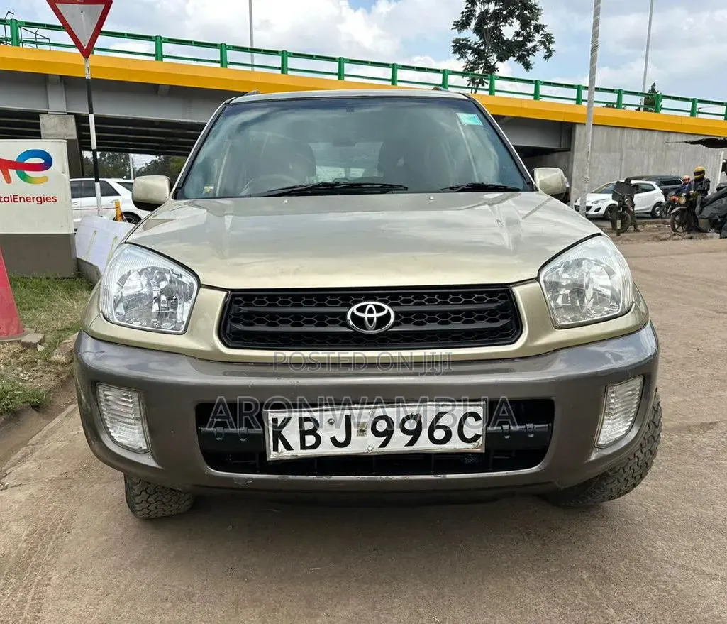 Toyota RAV4 2002 Beige