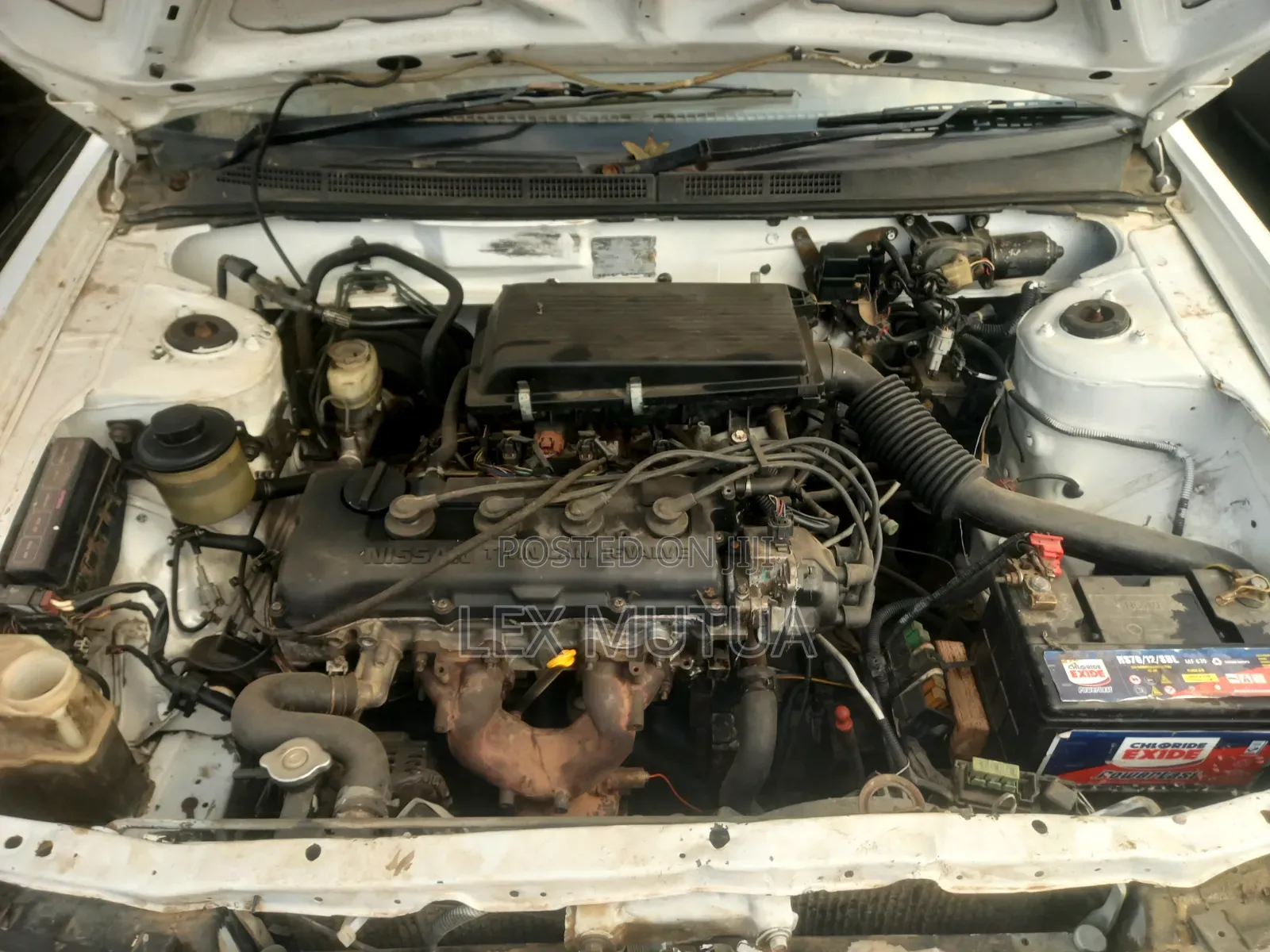 Nissan FB14 1998 White