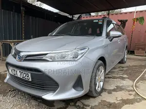 Toyota Corolla Fielder 2018 Silver