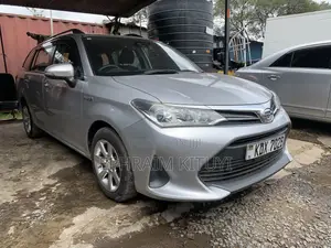 Toyota Corolla Fielder 2018 Silver