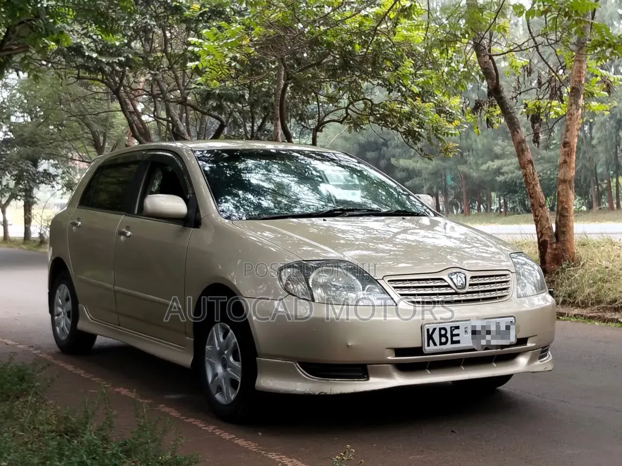 Toyota Allex 2003 Gold