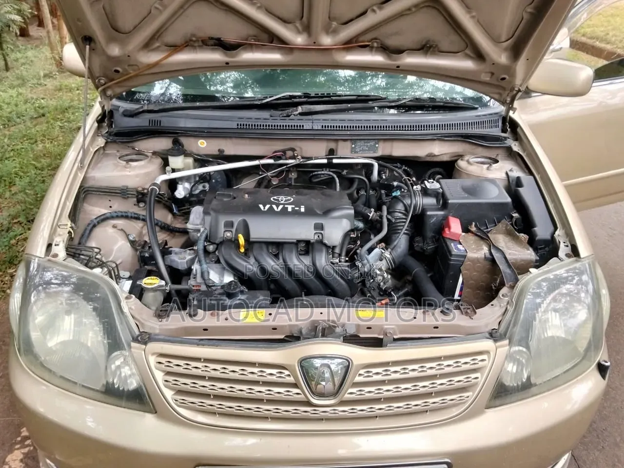 Toyota Allex 2003 Gold