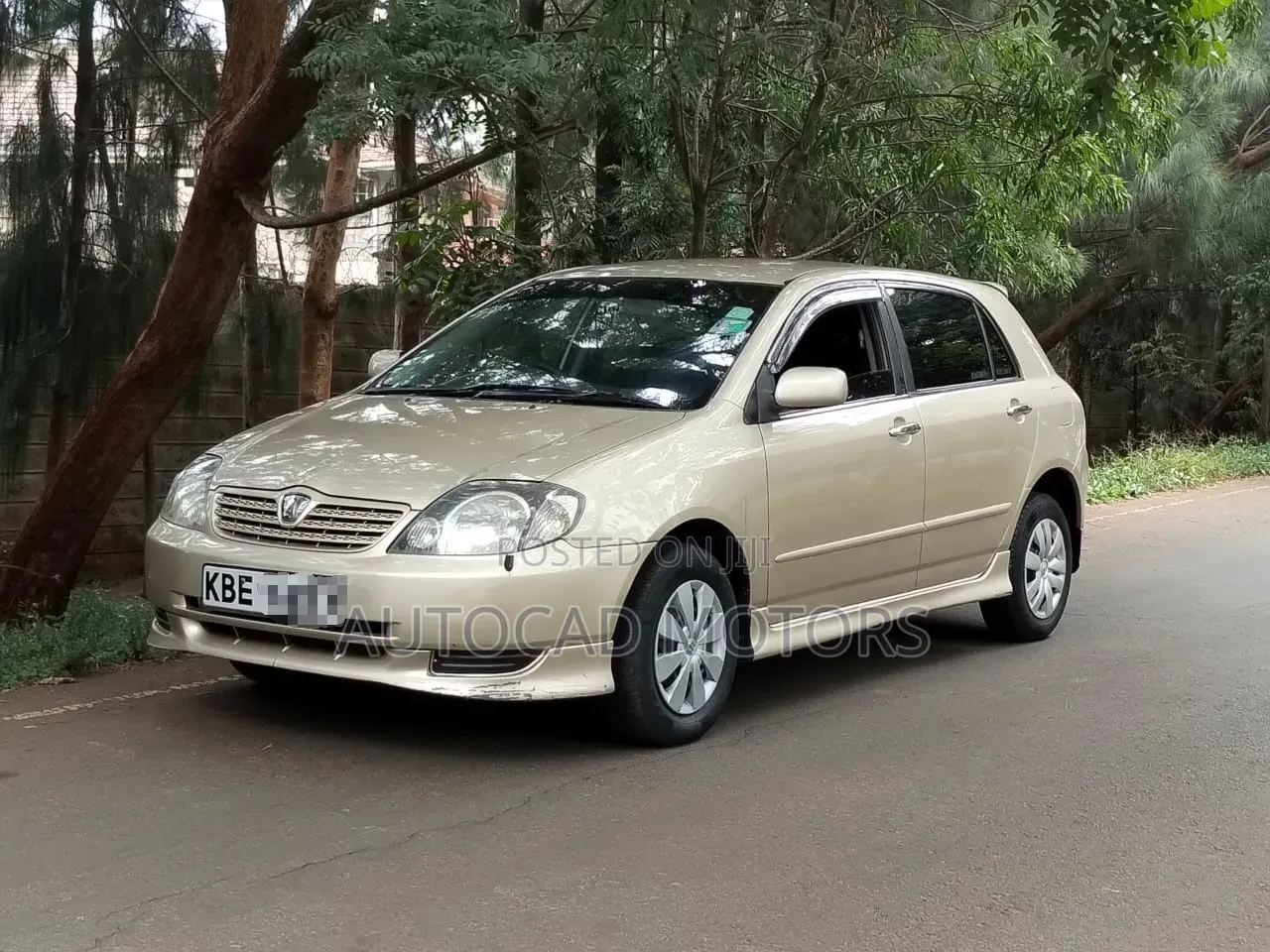Toyota Allex 2003 Gold