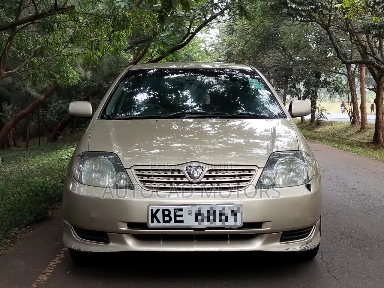 Toyota Allex 2003 Gold