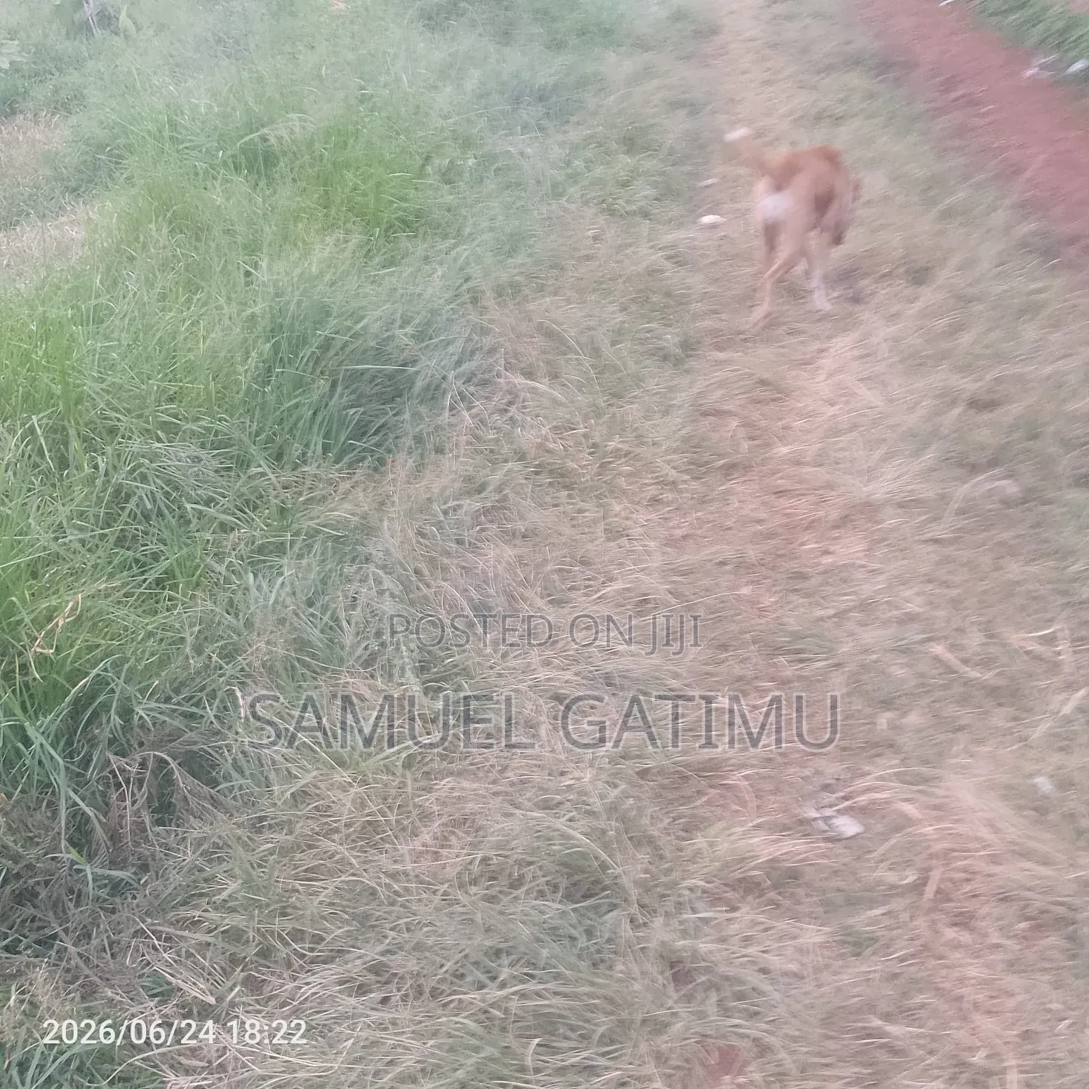Prime Plot for Sale Ruaka Kiambu