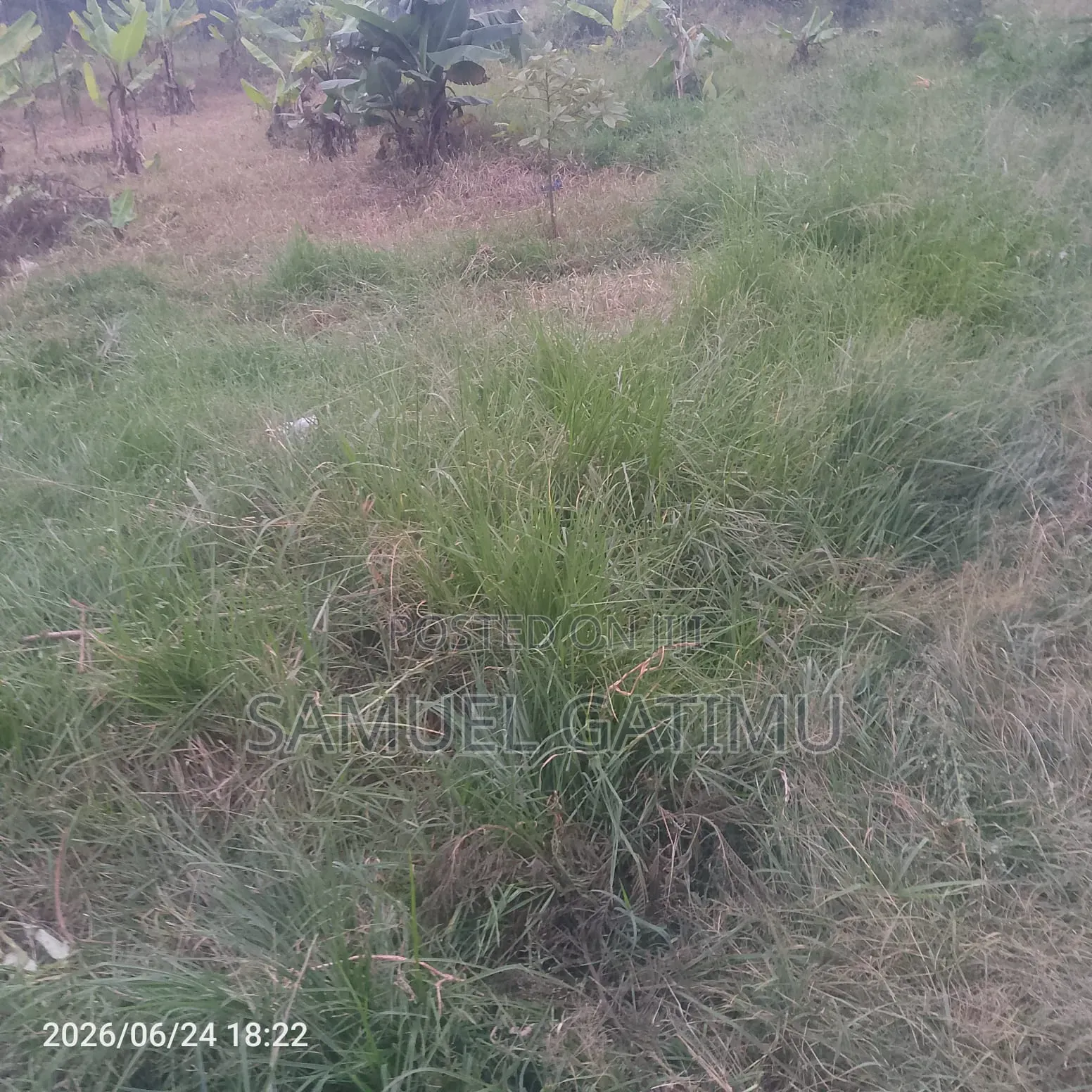 Prime Plot for Sale Ruaka Kiambu