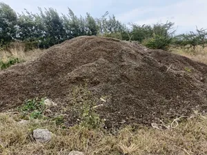 Cow and Sheep Manure for Sale in Mua Machakos a Tonne