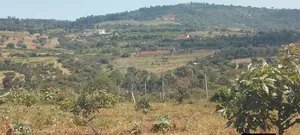 Mua Hills Land for Sale