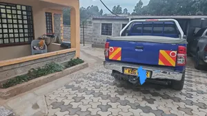 Toyota Hilux 2008 Blue
