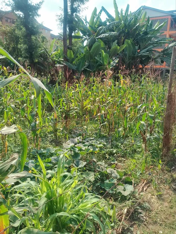Lowe Kabete 1/8 Plot for Lease - thumbnail 2
